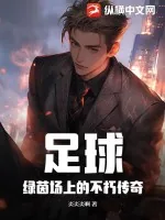 《足球：绿茵场上的不朽传奇》小说封面