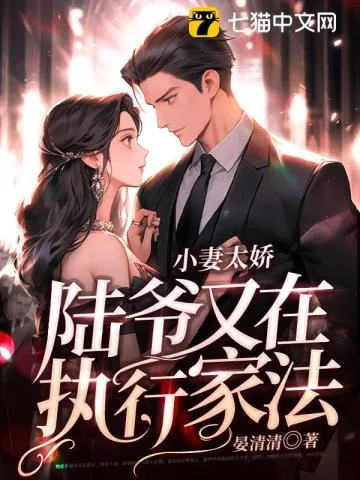 《小妻太娇，陆爷又在执行家法》小说封面