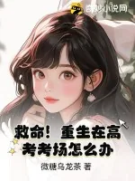 《救命！重生在高考考场怎么办？》小说封面