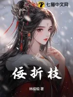 《佞折枝》小说封面