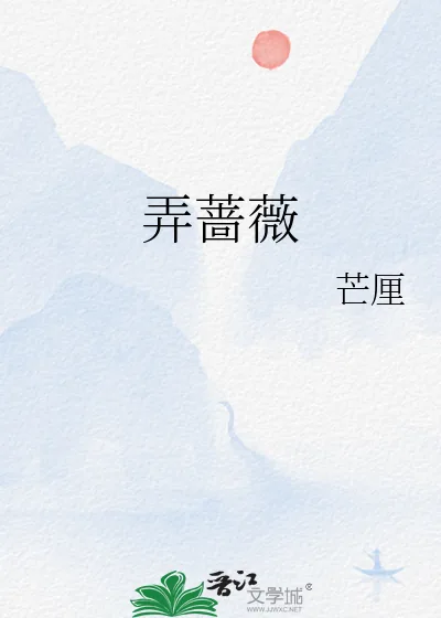 《弄蔷薇》小说封面