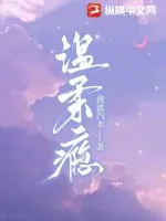 《温柔瘾》小说封面