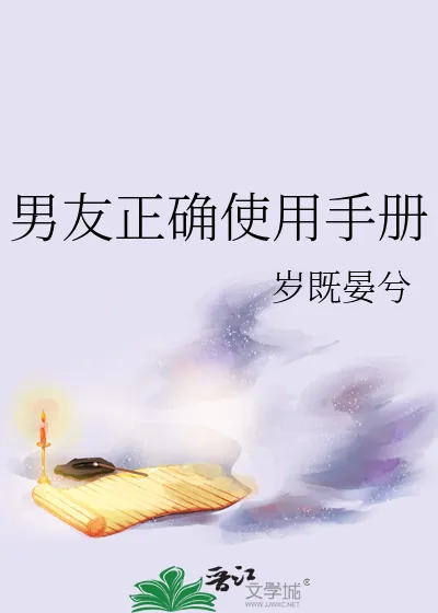 《男友正确使用手册》小说封面