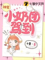 《神算小奶团驾到》小说封面