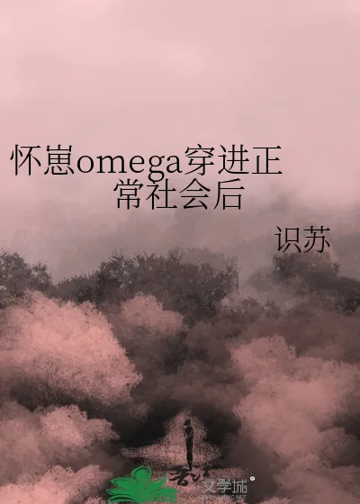 《怀崽omega穿进正常社会后》小说封面