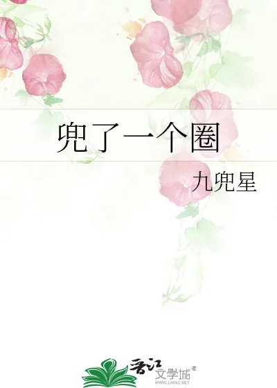 《兜了一个圈》小说封面
