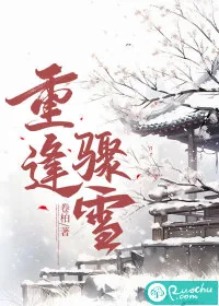 《重逢骤雪》小说封面