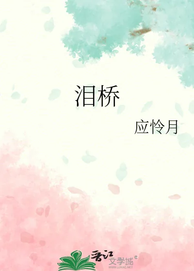 《泪桥》小说封面