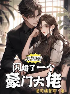 《没想到闪婚了个豪门大佬》小说封面