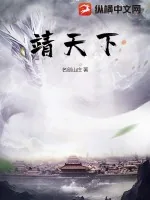 《靖天下》小说封面