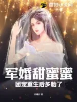 《军婚甜蜜蜜，团宠重生后多胎了》小说封面