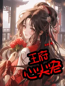 《王府心尖宠》小说封面