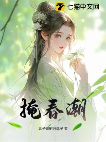 《掩春潮》小说封面