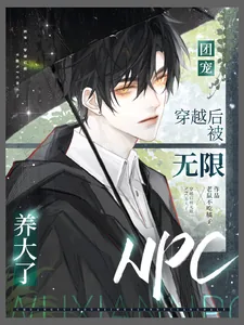 《团宠:穿越后被无限NPC养大了》小说封面