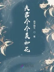 《夫君个个美如花》小说封面