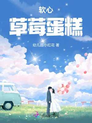 《软心草莓蛋糕》小说封面