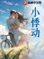《小悸动》小说封面