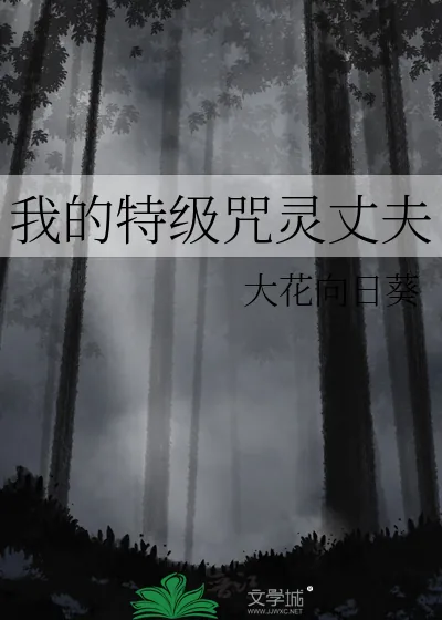 《我的特级咒灵丈夫》小说封面