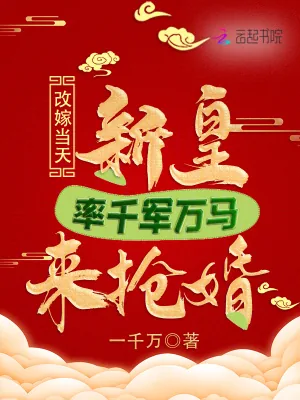 《改嫁当天,新皇率千军万马来抢婚》小说封面