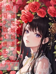 《惊，团宠妹妹是司少的木槿花》小说封面