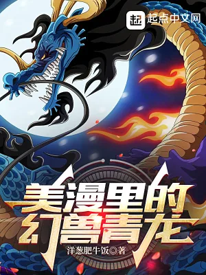 《美漫里的幻兽青龙》小说封面