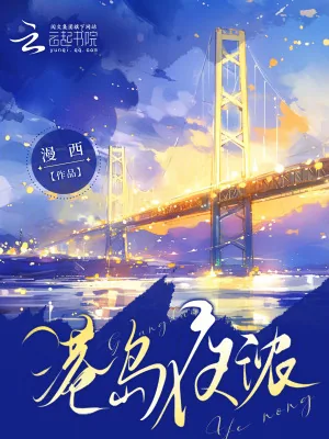 《港岛夜浓》小说封面