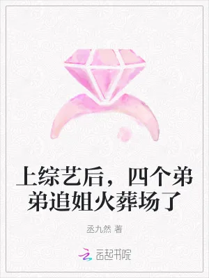 《上综艺后，四个弟弟追姐火葬场了》小说封面