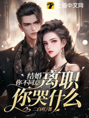 《结婚你不同意，离职你哭什么》小说封面