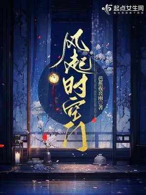 《风起时空门》小说封面