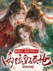 《赐婚后，我挺孕肚让两位皇子疯抢》小说封面
