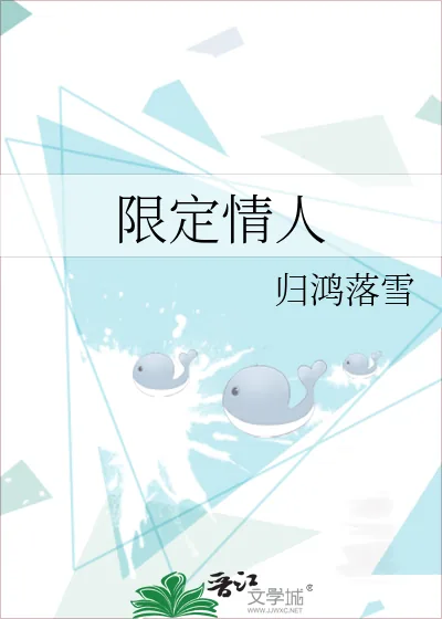 《限定情人》小说封面
