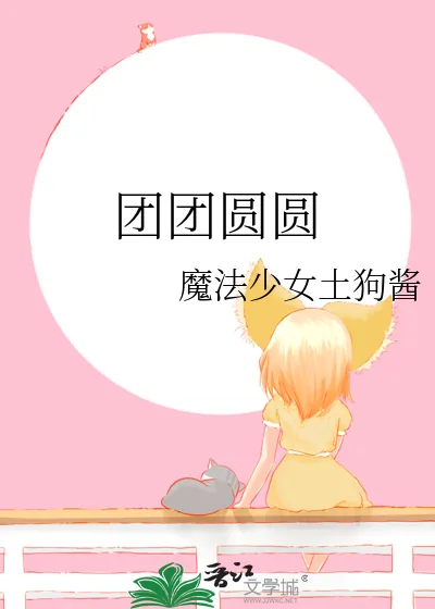 《团团圆圆》小说封面
