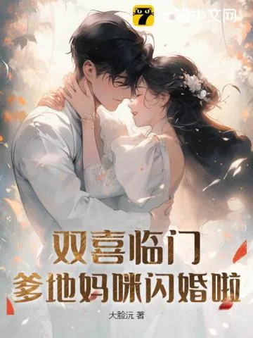《双喜临门：爹地妈咪闪婚啦》小说封面