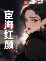 《宦海红颜》小说封面