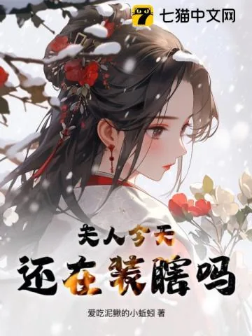 《夫人今天还在装瞎吗》小说封面