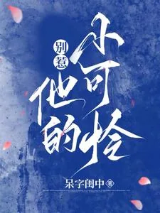 《别惹他的小可怜》小说封面