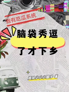 《我有吃瓜系统，脑袋秀逗了才下乡》小说封面