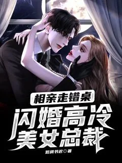 《凌宇秦明月》小说封面