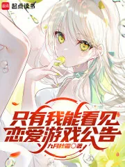 《只有我能看见恋爱游戏公告》小说封面