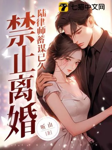 《禁止离婚！陆律师蓄谋已久》小说封面