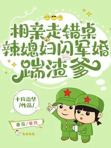《相亲走错桌，辣媳妇闪军婚踹渣爹》小说封面