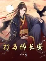 《打马醉长安》小说封面