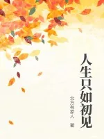 《人生只如初见》小说封面
