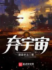 《弃宇宙》小说封面