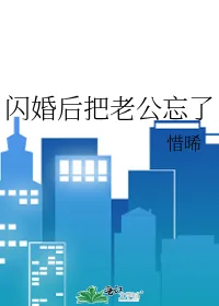 《闪婚后把老公忘了》小说封面