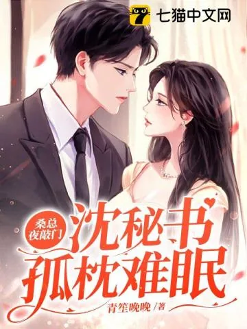 《桑总夜敲门，沈秘书孤枕难眠》小说封面