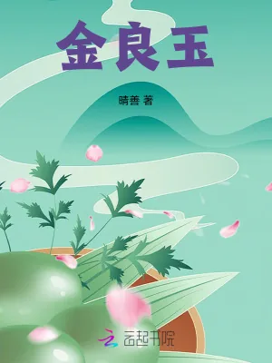 《金良玉》小说封面