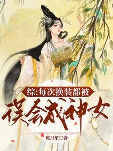 《综：每次换装都被误会成神女》小说封面