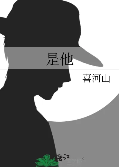 《是他》小说封面