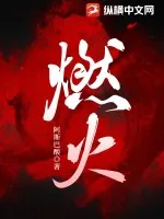 《燃火》小说封面